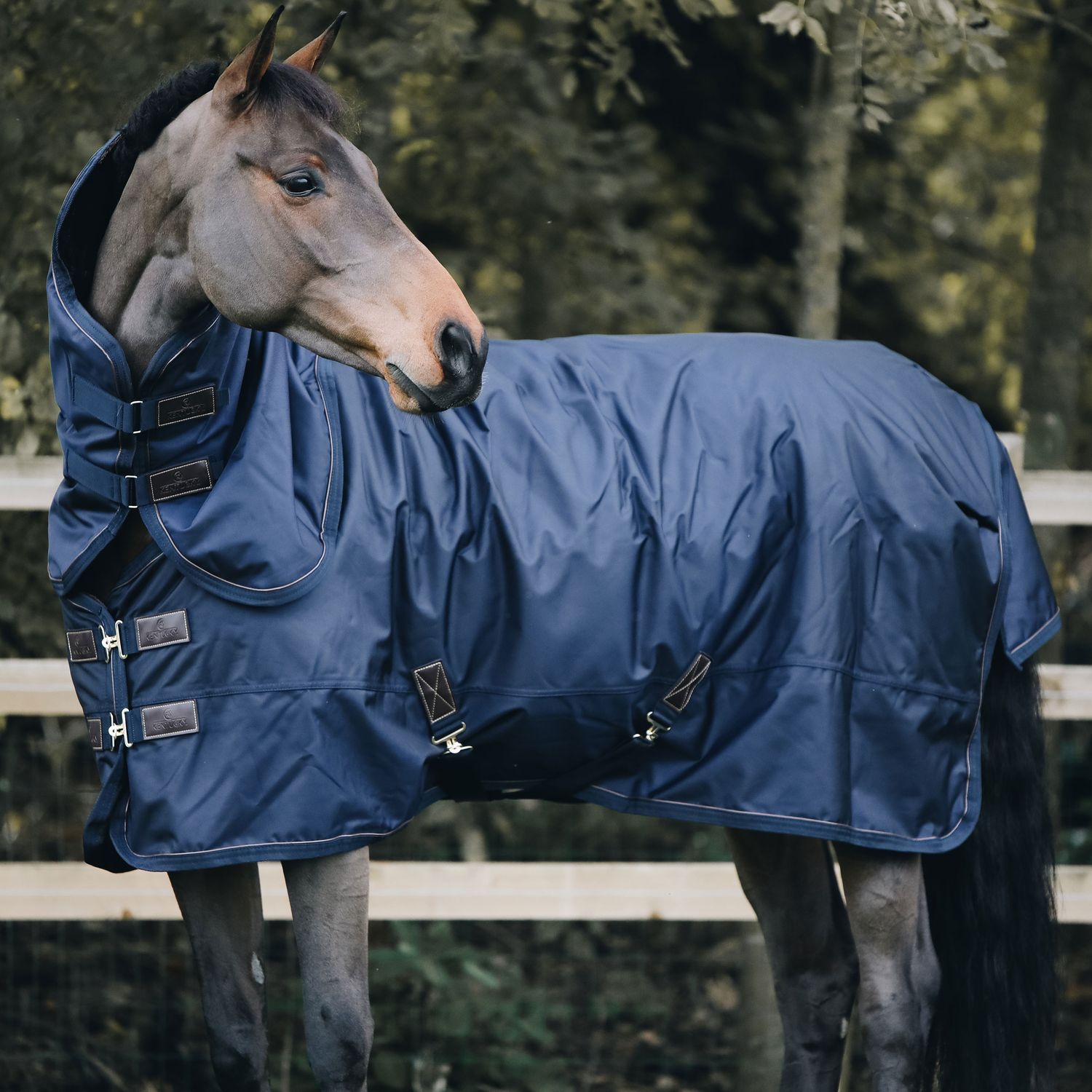 Kentucky Horsewear Turnout Rug All Weather Pro mit künstlichem Kaninchenfell 160g - navy, Größe 165