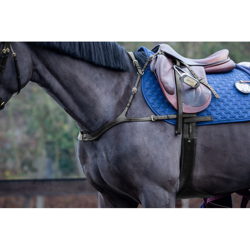 Dyon D-Collection Vorderzeug anatomisch - black, Größe Pony