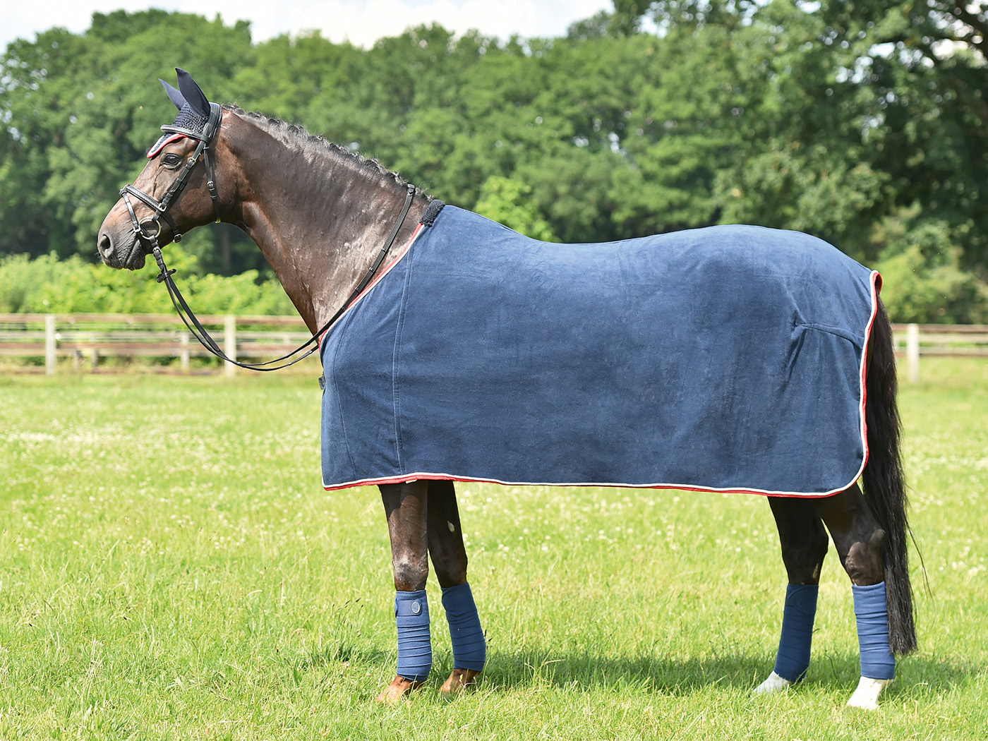 Busse Abschwitzdecke WAVE