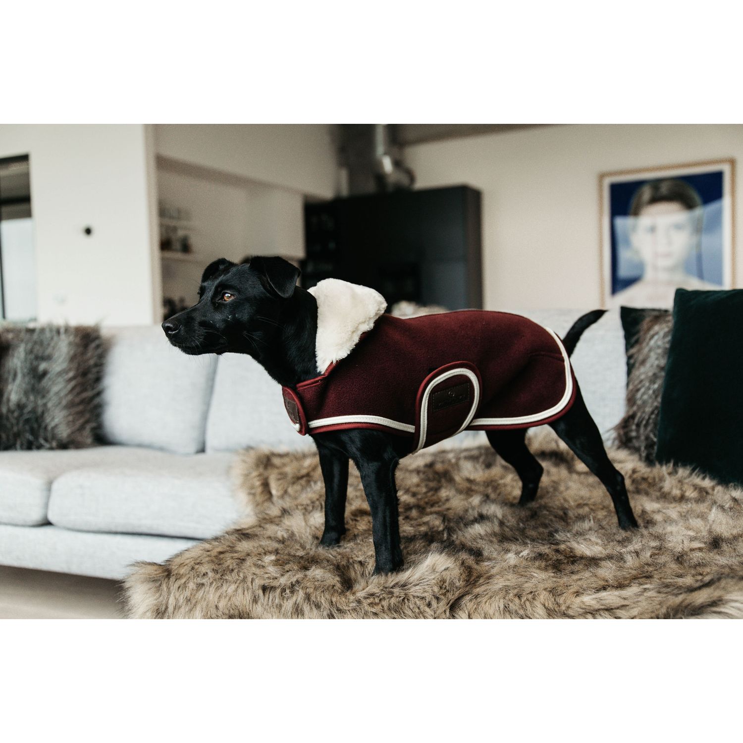 Kentucky Dogwear Heavy Fleece Hundemantel | Horse Shop