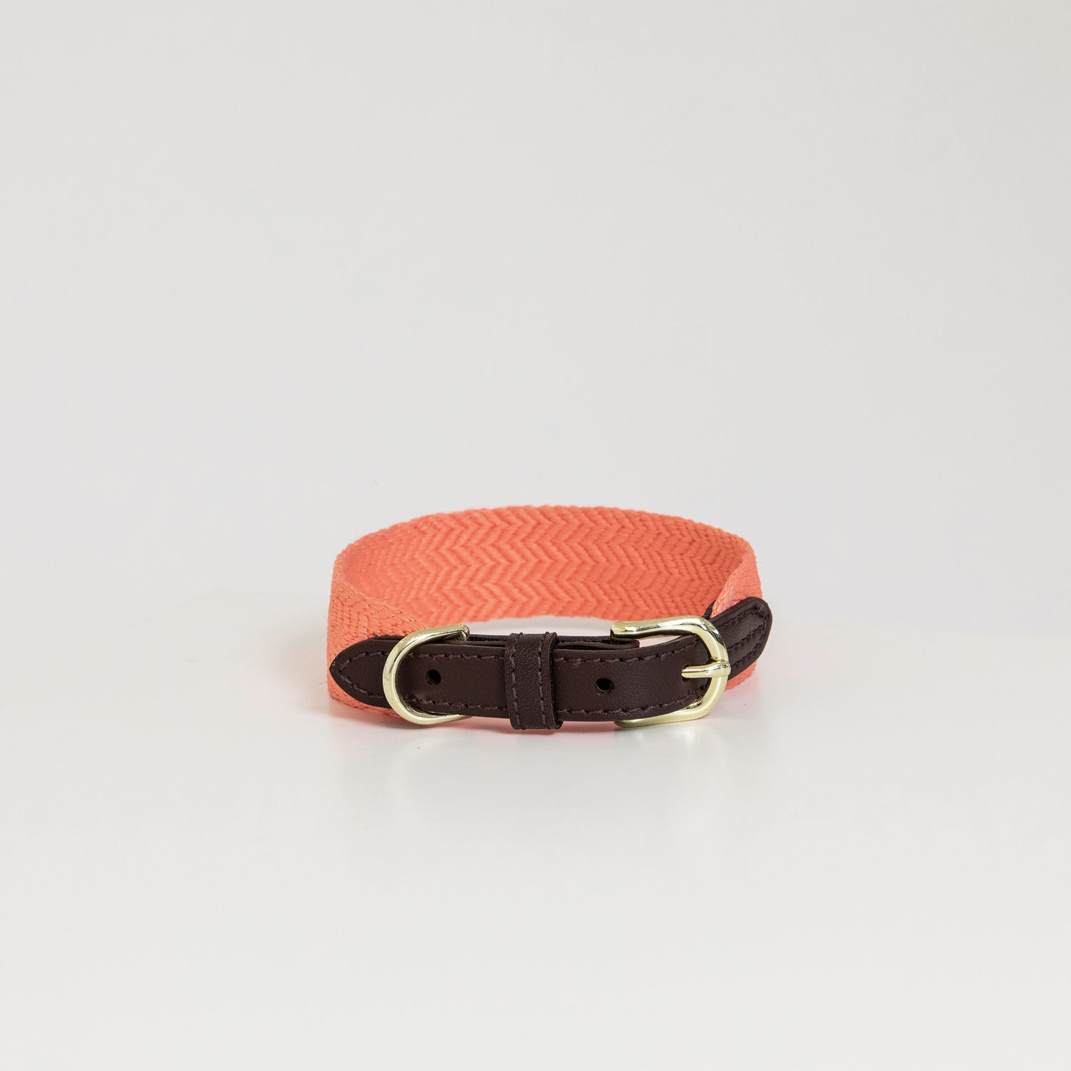 Kentucky Dogwear Jacquard Hundehalsband - neon orange, Größe L