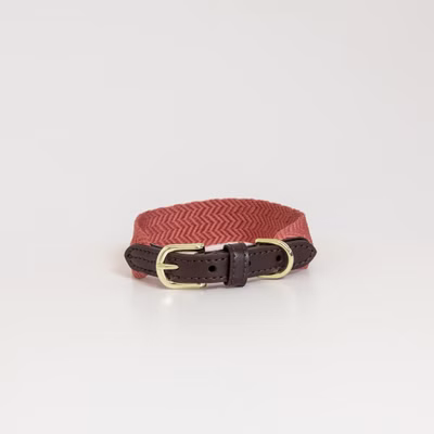 Kentucky Dogwear Jacquard Hundehalsband