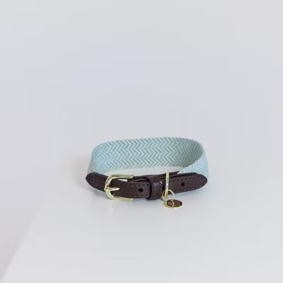 Kentucky Dogwear Jacquard Hundehalsband