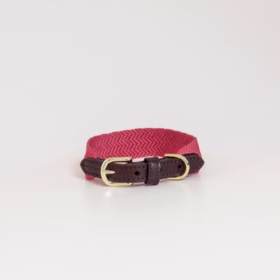 Kentucky Dogwear Jacquard Hundehalsband