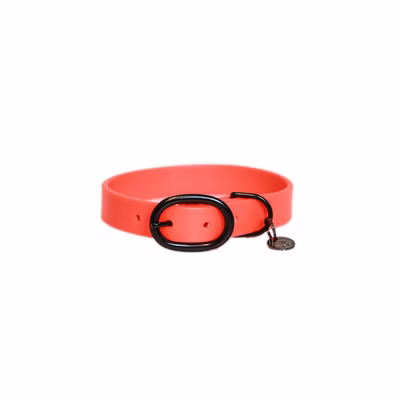 Kentucky Dogwear Hundehalsband Soft Rubber