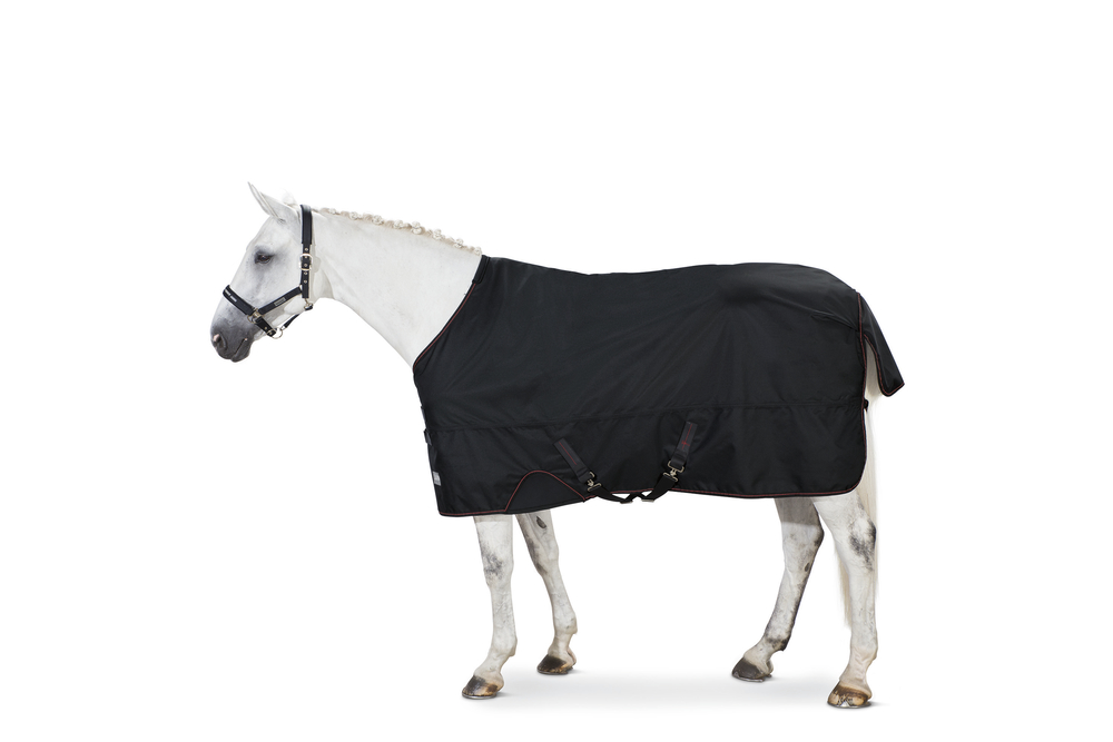 Eskadron Basics Gamma 150 Weidedecke