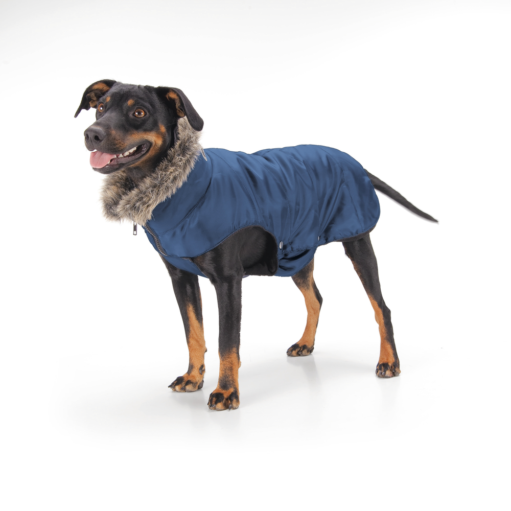 Eskadron Basics Quilted Hundemantel | Horse Shop