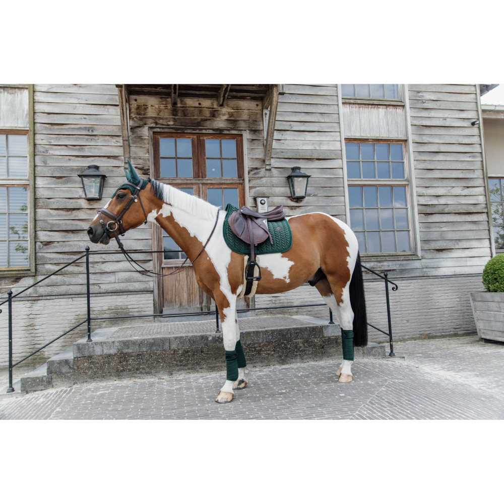 Schabracke (tapis De Selle) Kentucky Horsewear VELVET PEARLS - Velours Beige